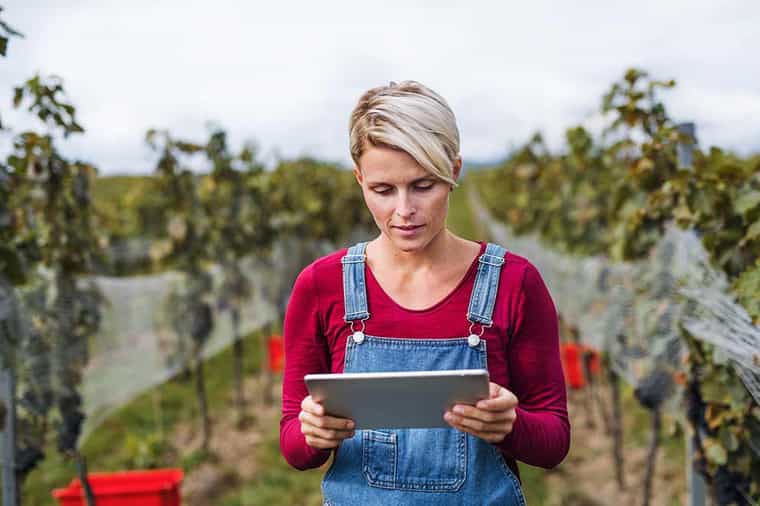 woman-holding-tablet-in-vineyard